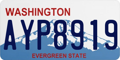WA license plate AYP8919