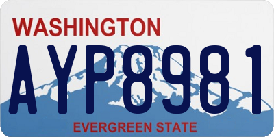 WA license plate AYP8981
