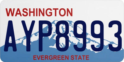 WA license plate AYP8993