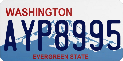 WA license plate AYP8995