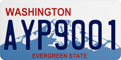 WA license plate AYP9001