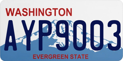 WA license plate AYP9003