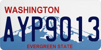WA license plate AYP9013