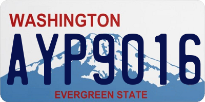 WA license plate AYP9016