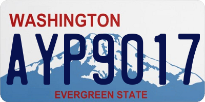WA license plate AYP9017