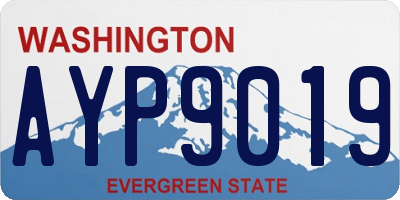 WA license plate AYP9019