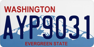 WA license plate AYP9031