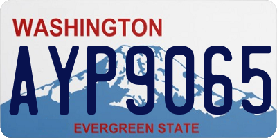 WA license plate AYP9065