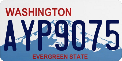 WA license plate AYP9075