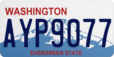 WA license plate AYP9077