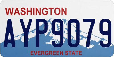 WA license plate AYP9079