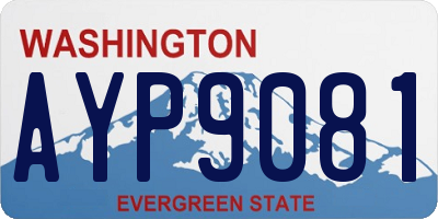 WA license plate AYP9081