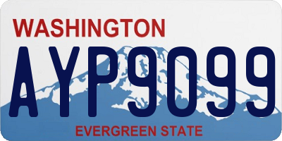 WA license plate AYP9099