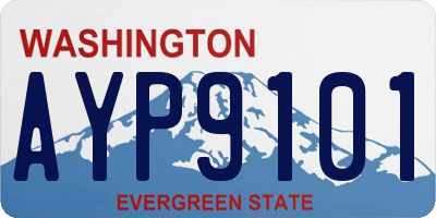 WA license plate AYP9101