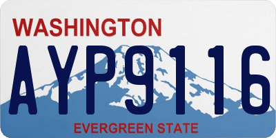 WA license plate AYP9116