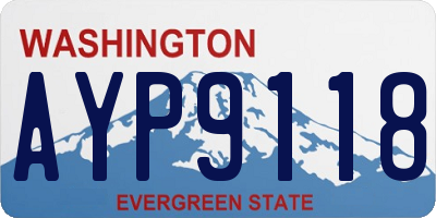 WA license plate AYP9118