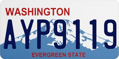 WA license plate AYP9119