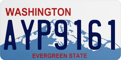 WA license plate AYP9161