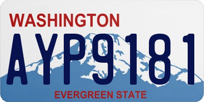 WA license plate AYP9181
