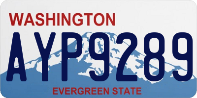WA license plate AYP9289