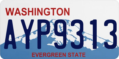 WA license plate AYP9313