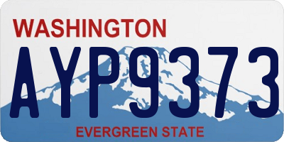 WA license plate AYP9373