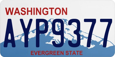 WA license plate AYP9377