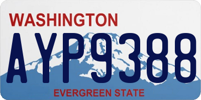 WA license plate AYP9388