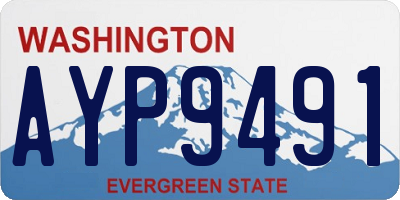 WA license plate AYP9491