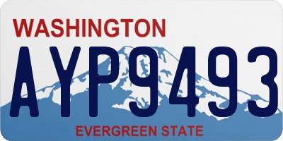 WA license plate AYP9493