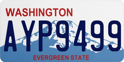 WA license plate AYP9499