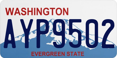 WA license plate AYP9502