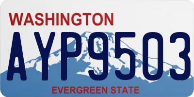 WA license plate AYP9503