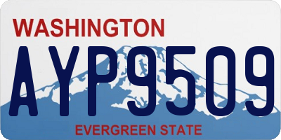 WA license plate AYP9509