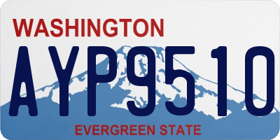 WA license plate AYP9510