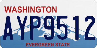 WA license plate AYP9512