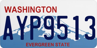WA license plate AYP9513