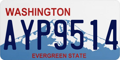 WA license plate AYP9514