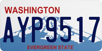 WA license plate AYP9517