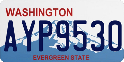 WA license plate AYP9530