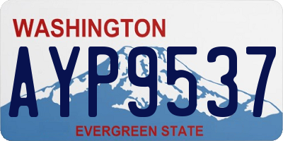 WA license plate AYP9537
