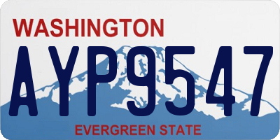 WA license plate AYP9547