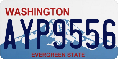 WA license plate AYP9556