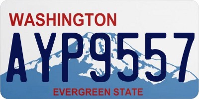 WA license plate AYP9557
