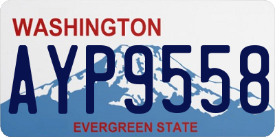 WA license plate AYP9558