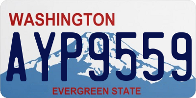 WA license plate AYP9559