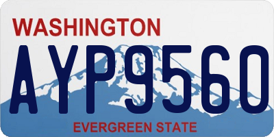 WA license plate AYP9560