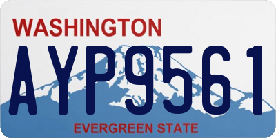 WA license plate AYP9561