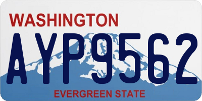 WA license plate AYP9562