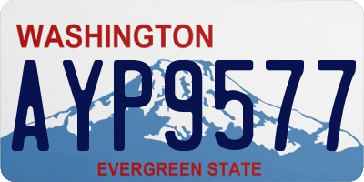 WA license plate AYP9577